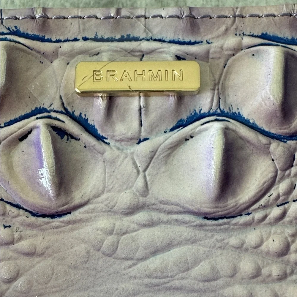 Brahmin daisy very